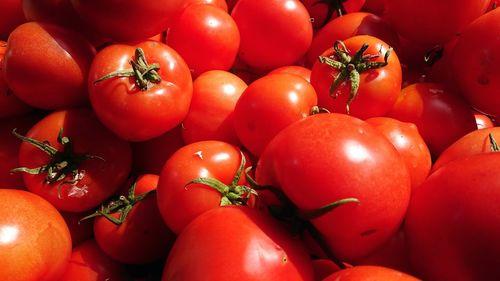 Full frame shot of tomatoes