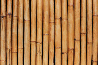 Full frame shot of bamboo