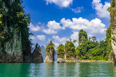 Panoramic view of trees by sea against sky