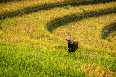 Rear view of woman working on field