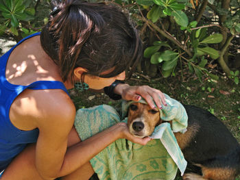 High angle view of woman wiping dog