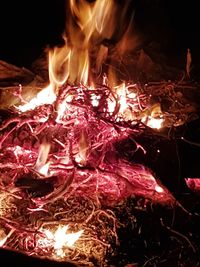 Close-up of fire on display at night