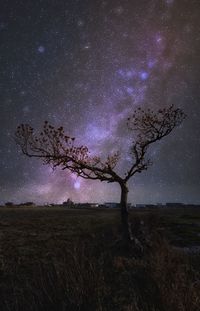 Tree on field against sky at night