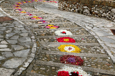 High angle view of multi colored flower on footpath