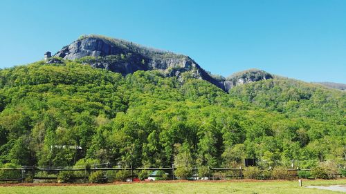 Scenic view of landscape against clear sky