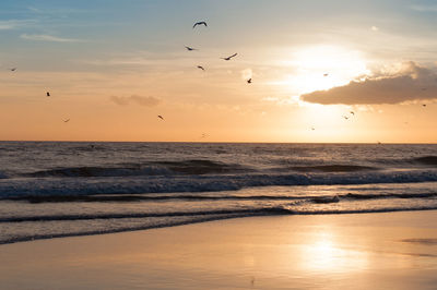 Scenic view of sea against sky during sunset