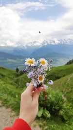 Cropped hand of person holding flowers against sky