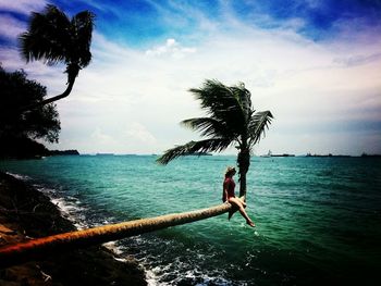 Woman sitting on palm tree over sea against sky