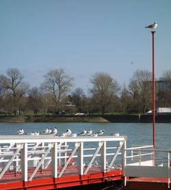 Pier in sea