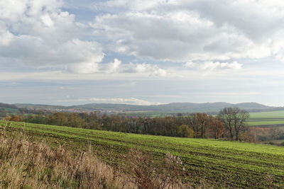 Scenic view of field against sky