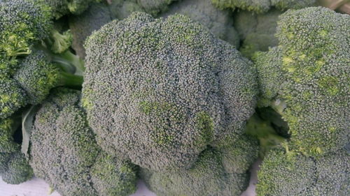 Close-up of broccoli cabbage