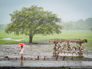 Full length of man holding umbrella while standing against tree during rainy season