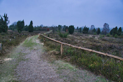 Dirt road amidst trees on field against sky