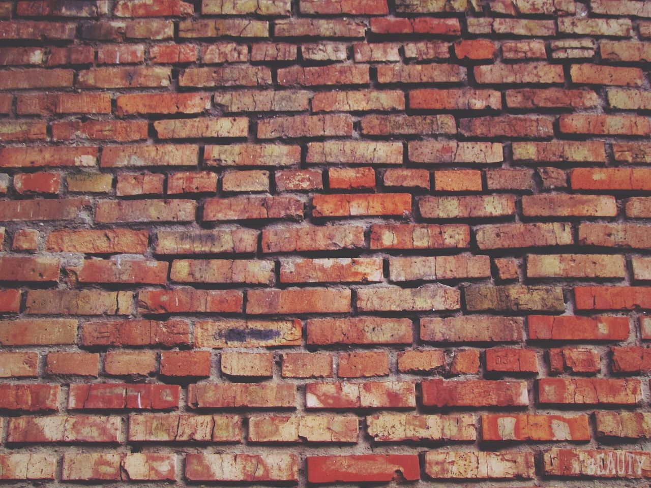 brick wall, red, architecture, built structure, building exterior, full frame, wall - building feature, backgrounds, brick, textured, pattern, wall, outdoors, day, no people, stone wall, close-up, window, old, house