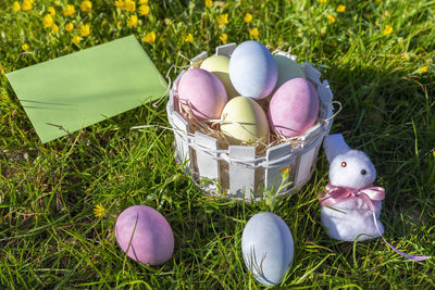 View of eggs in basket