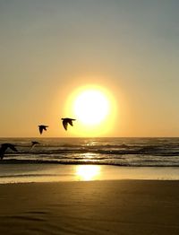 Scenic view of sunset over sea