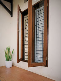 Potted plant on window of building