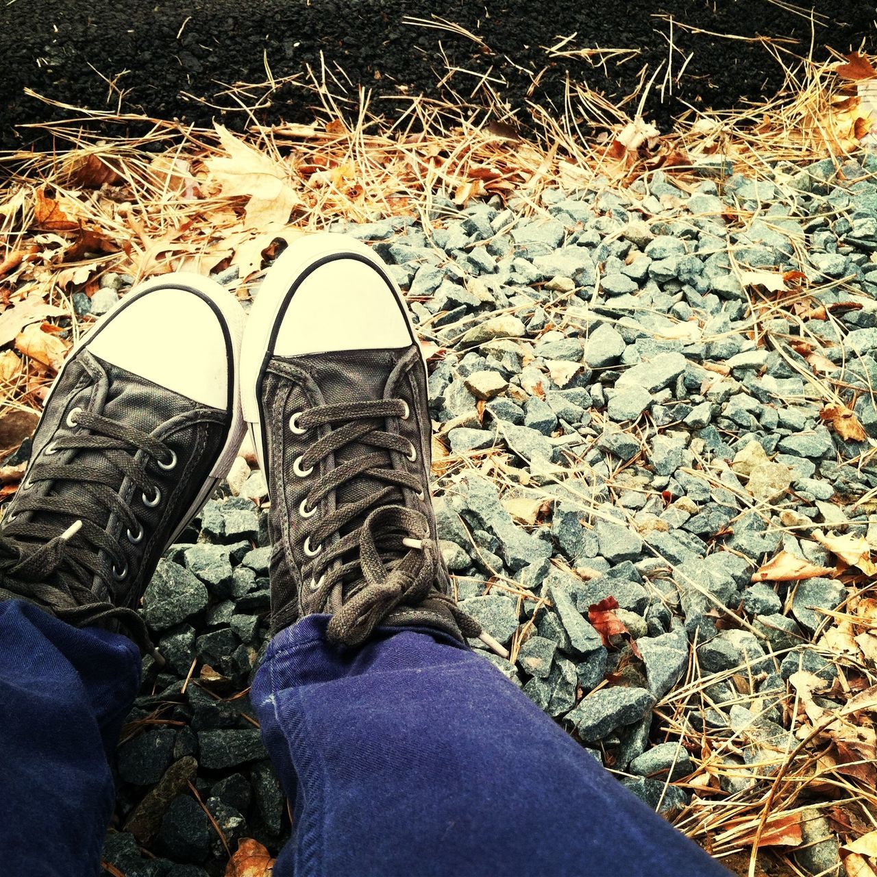 low section, high angle view, shoe, person, personal perspective, water, directly above, autumn, lifestyles, day, outdoors, leaf, part of, footwear, leisure activity, human foot, reflection