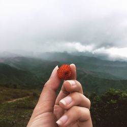 Close-up of hand holding strawberry against landscape