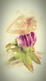 Close-up of food over white background