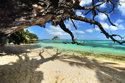 Scenic view of beach against blue sky