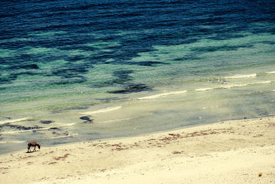 High angle view of beach