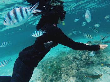 Woman snorkeling amidst fish in sea