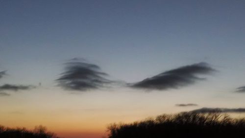 Low angle view of silhouette trees against clear sky
