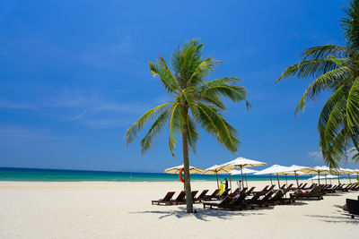 Palm tree on beach against sky