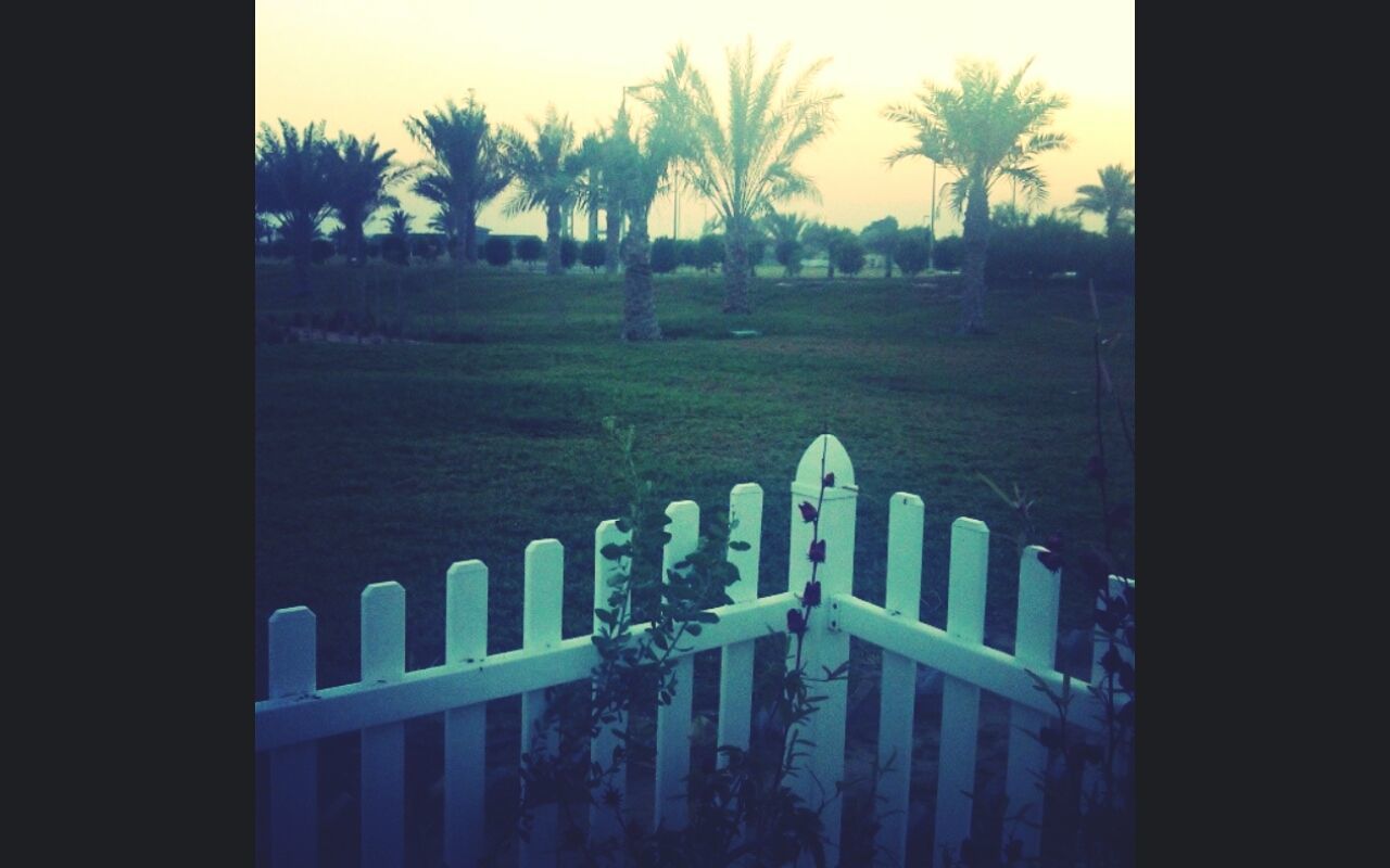 tree, growth, palm tree, tranquility, nature, field, tranquil scene, auto post production filter, landscape, no people, fence, outdoors, grass, sky, green color, day, scenics, tree trunk, beauty in nature, text