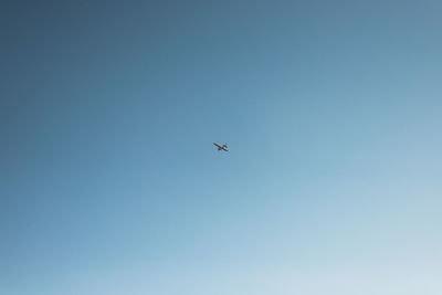 Low angle view of airplane flying in sky