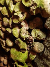 Full frame shot of vegetables