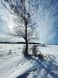 Bare tree on snow covered landscape against sky during sunset