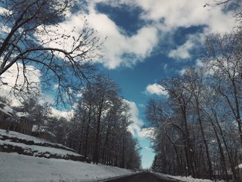 Road passing through bare trees against cloudy sky