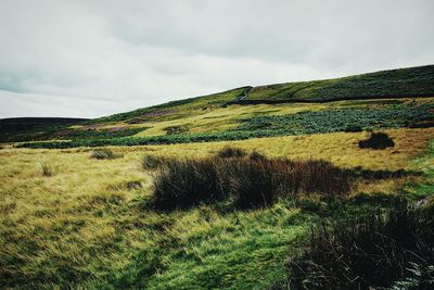 Low angle view of grassy hill against cloudy sky