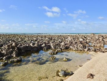 Scenic view of beach against sky