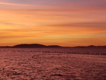 Scenic view of sea against orange sky