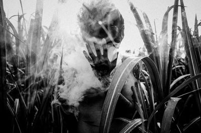 Man standing amidst plants during foggy weather