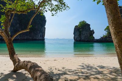 Beautiful landscape of white beach and blue sea of koh hong, krabi, thailand in summer