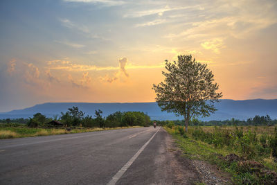 Road amidst trees against sky during sunset