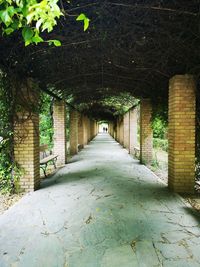 Empty footpath amidst trees and building