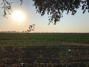 Scenic view of field against sky during sunset