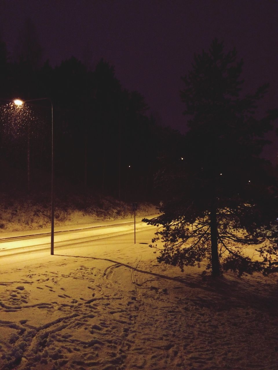 night, tree, illuminated, snow, silhouette, winter, tranquility, street light, street, road, cold temperature, sunset, tranquil scene, nature, bare tree, empty, outdoors, the way forward, landscape, shadow