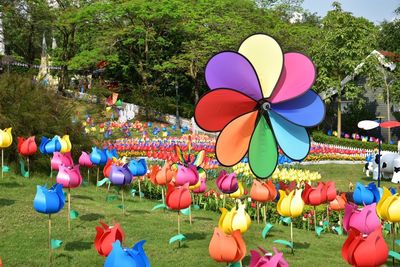 Multi colored balloons on field in park