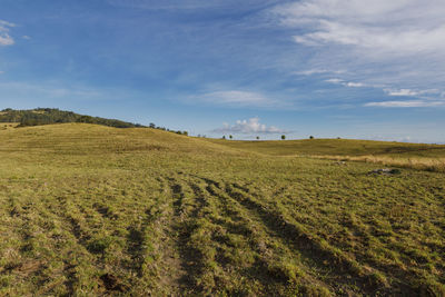 Scenic view of agricultural field against sky