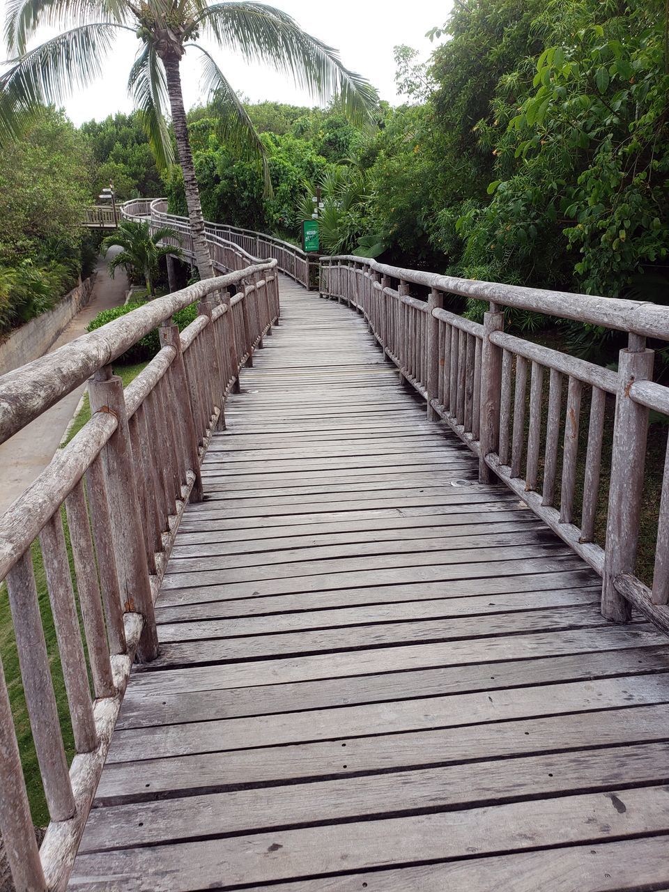 WOODEN FOOTBRIDGE LEADING TO FOREST