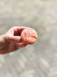 Close-up of hand holding ice cream