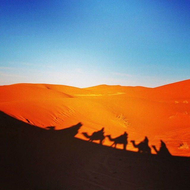 desert, clear sky, arid climate, landscape, sand dune, tranquility, tranquil scene, copy space, blue, sand, scenics, barren, nature, beauty in nature, non-urban scene, remote, horizon over land, mountain, sunlight, physical geography