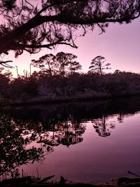 Reflection of trees in lake during sunset