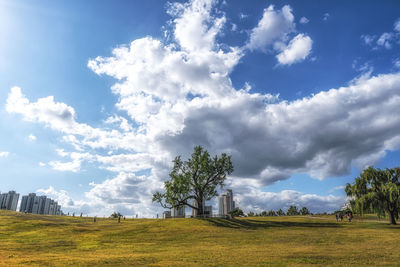 Scenic view of field against sky